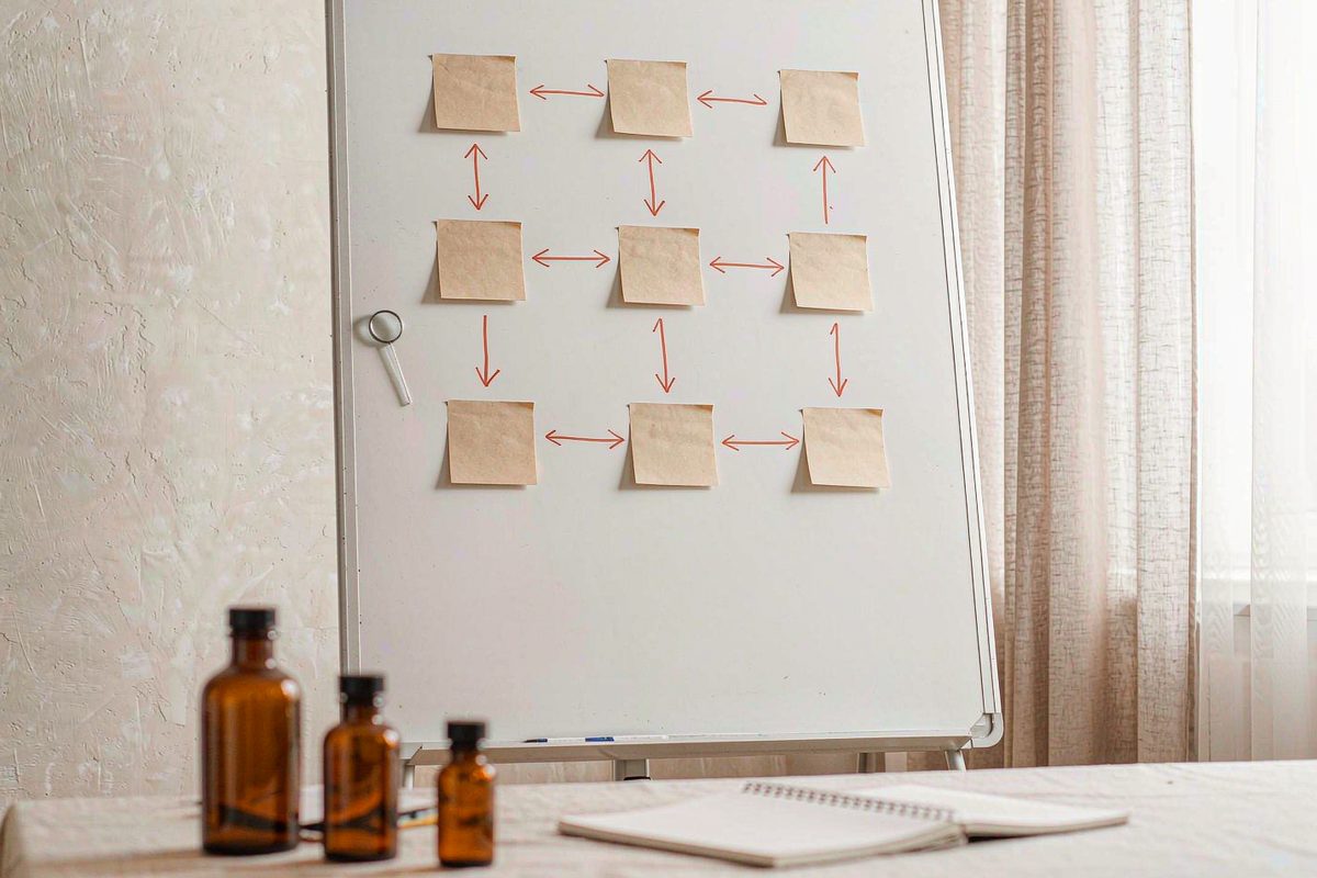 Custom-Formula-Roadmap: Vom Konzept zur Produktion für Haustierpflege-Marken